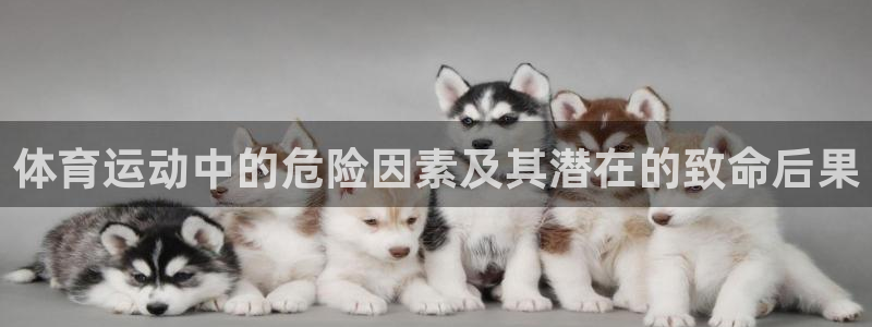 意昂5Kgame体育凯捷登陆