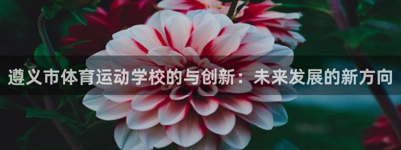 上海意昂5Kgame汽车电子有限公司