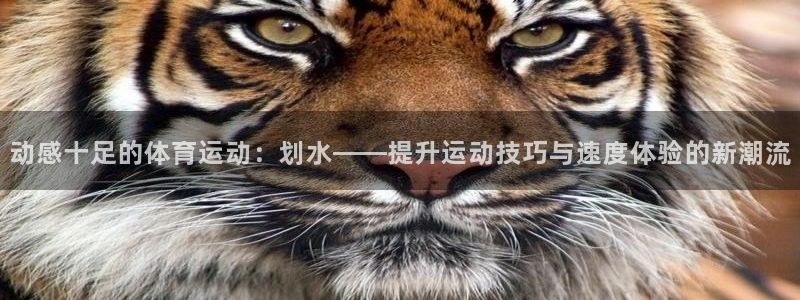 意昂5Kgamef凯捷平台在线注册