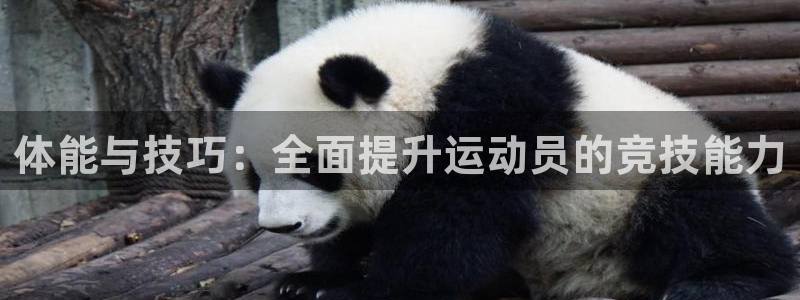 意昂5Kgame体育热门赛事有哪些