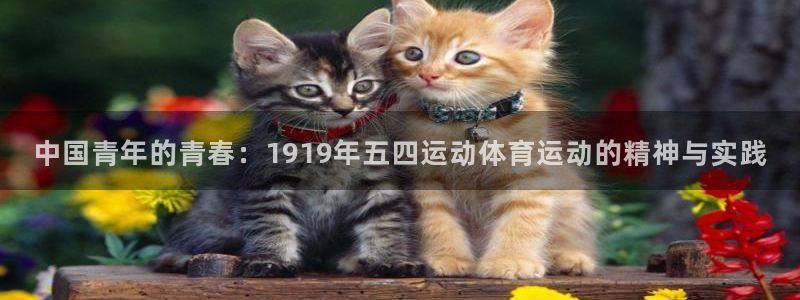 www.意昂5Kgame体育.com