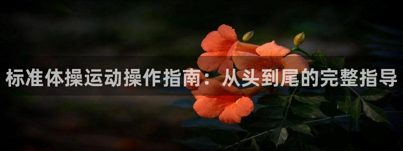 意昂5kgame官网入口