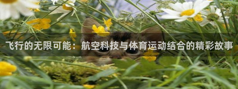 意昂5Kgame体育平台总代理