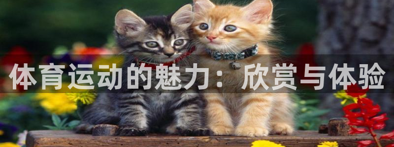 意昂5Kgame体育凯捷平台主管