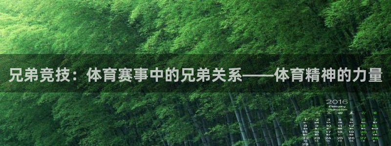 意昂5Kgame4官网