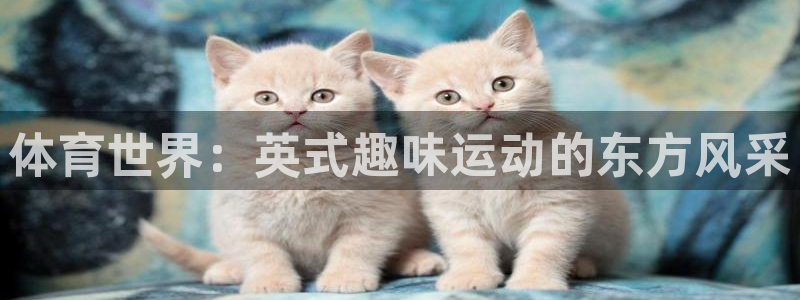 意昂5Kgame体育网页版入口