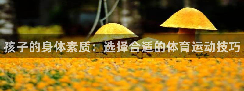 意昂5Kgame能源