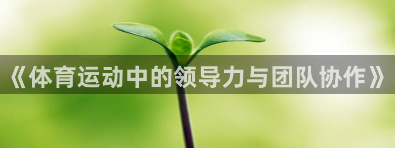 德国意昂5Kgame集团
